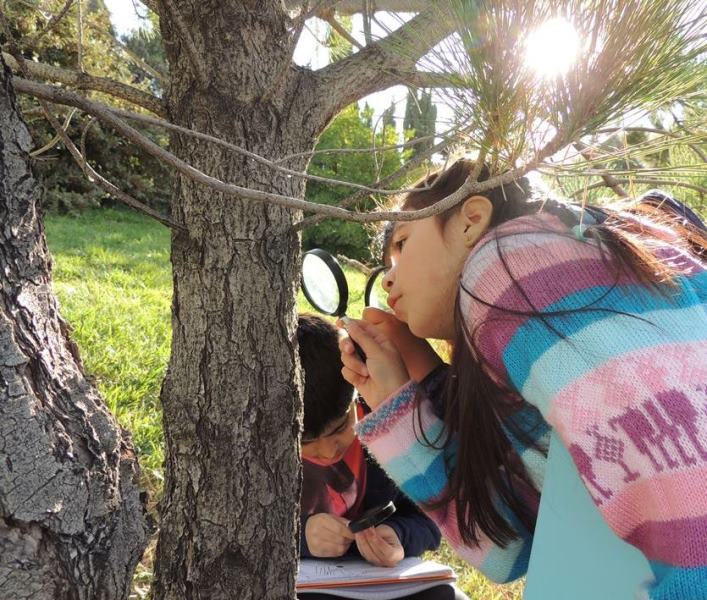 EL TALLER DE NIOS INVESTIGADORES ABRE  LA INSCRIPCIN