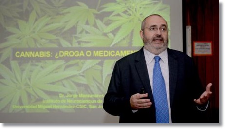 LA VERDAD SOBRE EL CANNABIS COMO MEDICAMENTO O DROGA