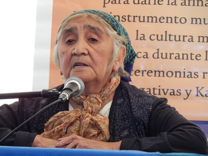 La Universidad estuvo presente en la Fiesta de la Comunidad Mapuche realizada en Lago Rosario.
