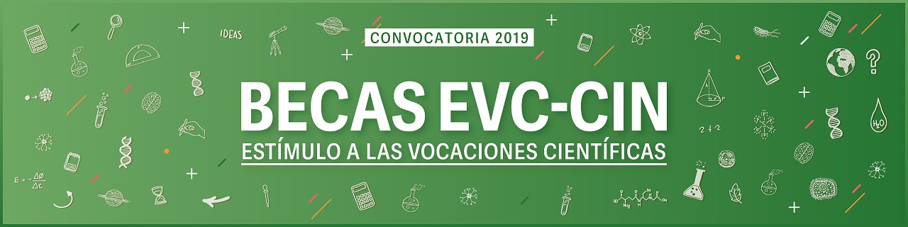 BECAS ESTMULO A LAS VOCACIONES CIENTFICAS 2019.
EL CIN PUBLIC LOS RESULTADOS PROVISORIOS