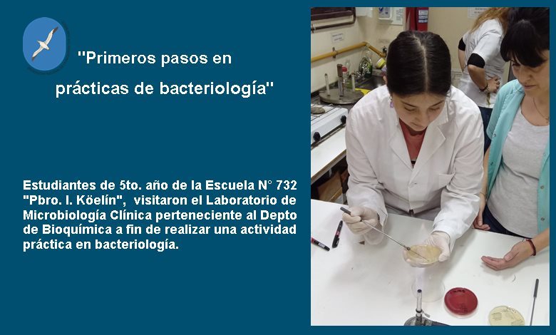Estudiantes de 5to. año de la Escuela N° 732 dieron sus primeros pasos en prácticas de bacteriología